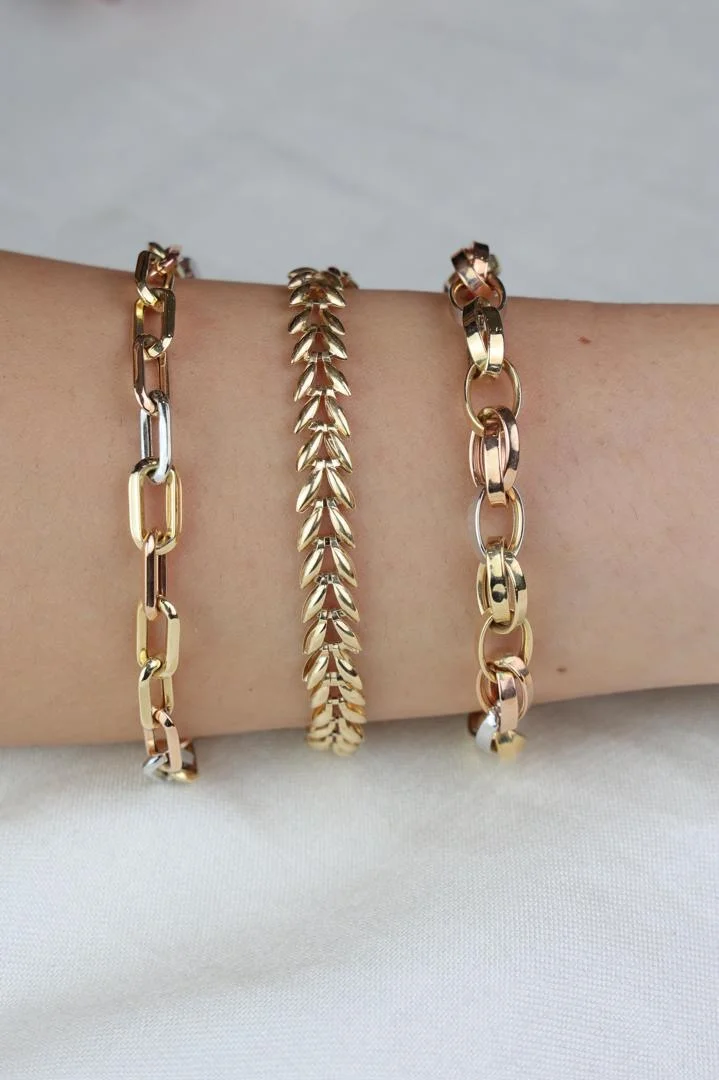 Light Chain Essentials Series